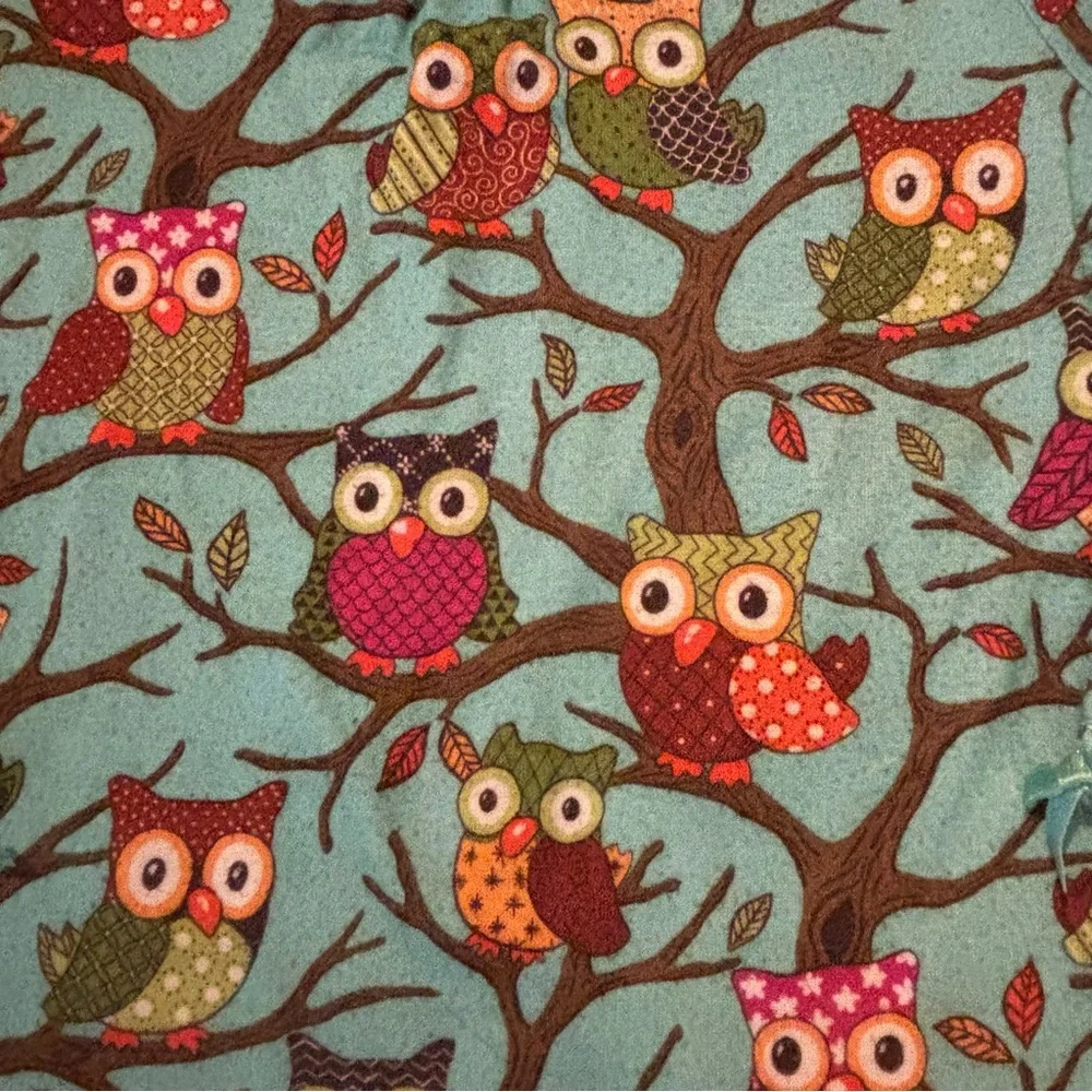 Nick & Nora 4T FLAME RESISTANT 2 Piece Pajamas Owls Long pants & Button up top